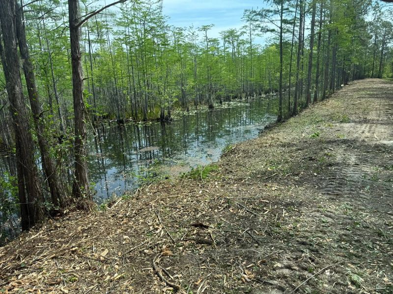 Land Clearing