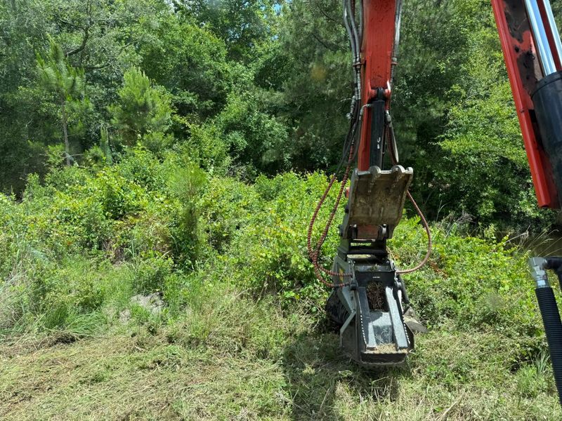 Land Clearing