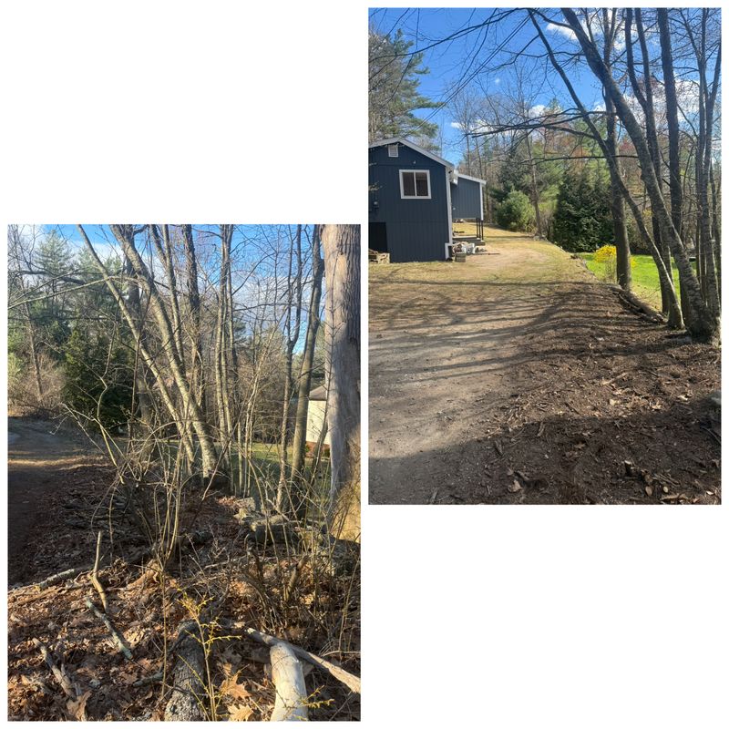 Brush Removal