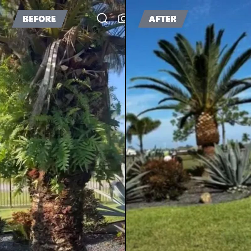 Trimming and pruning