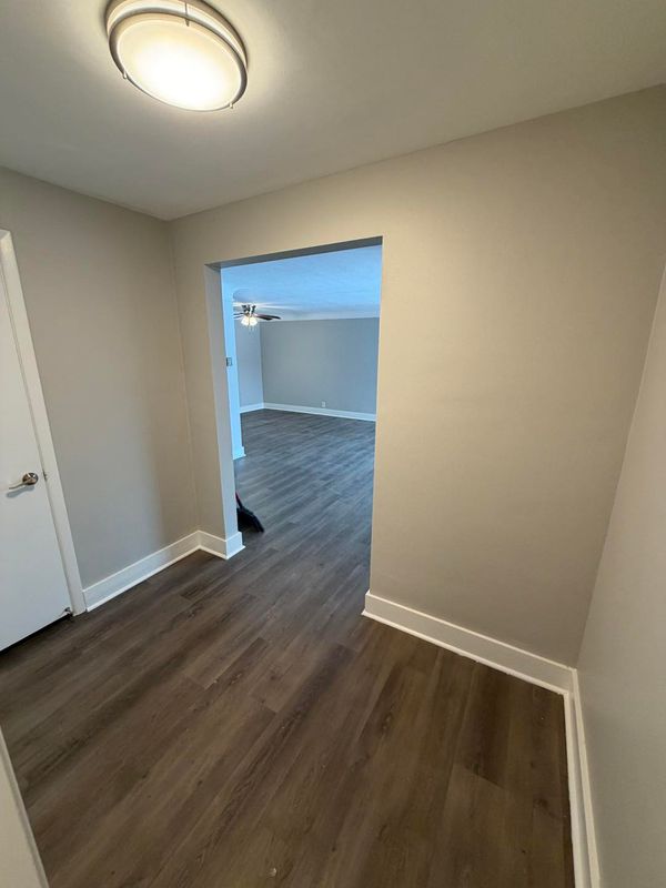 Painting Services