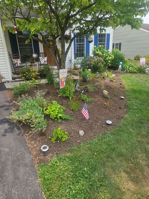Landscape Design
