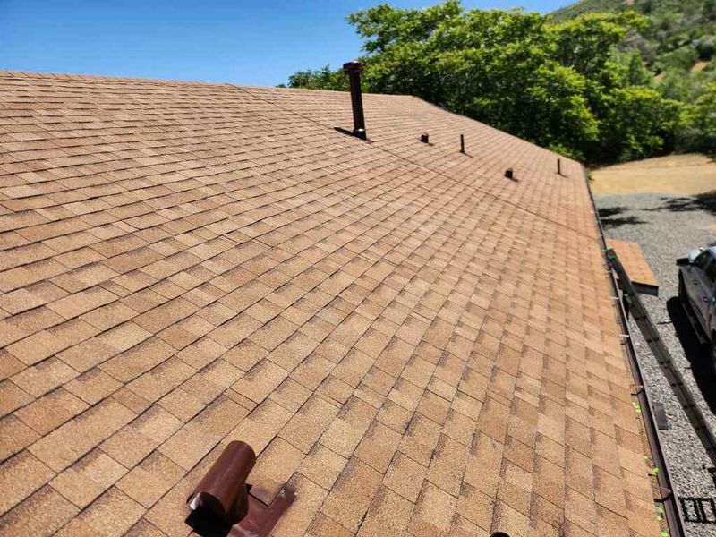 Shingles