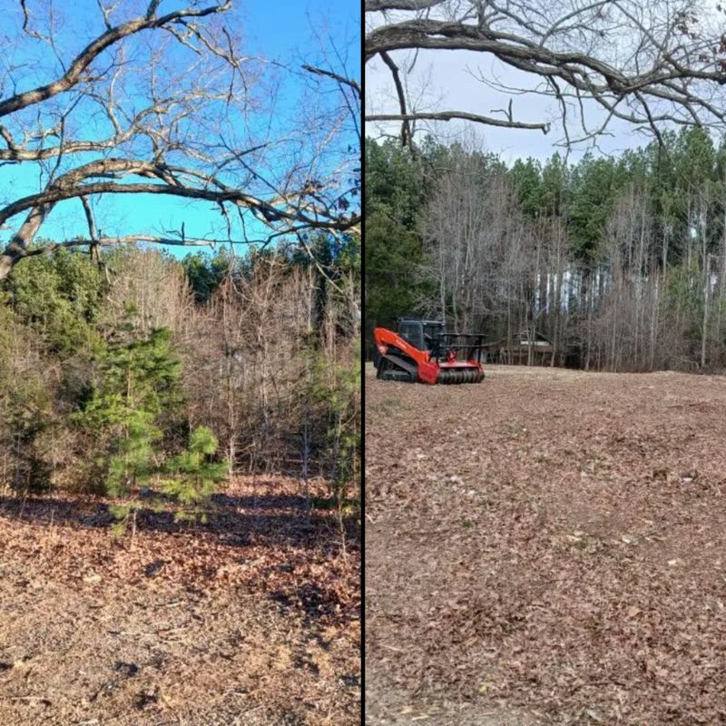 Forestry Mulching