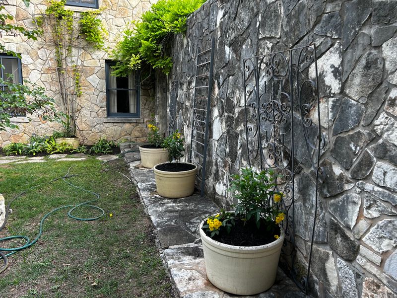 Garden Designs