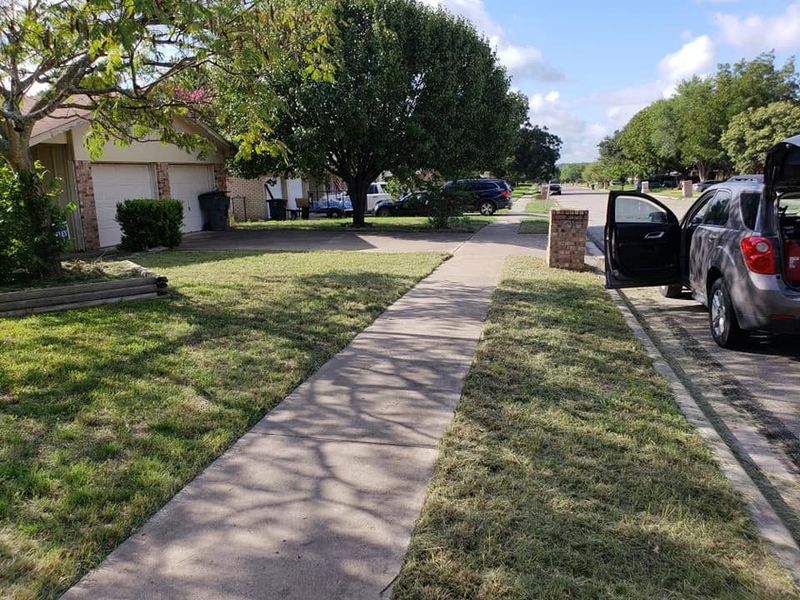 Lawn Mowing