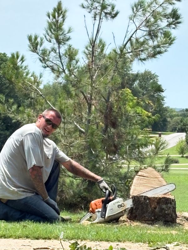 Tree Trimming