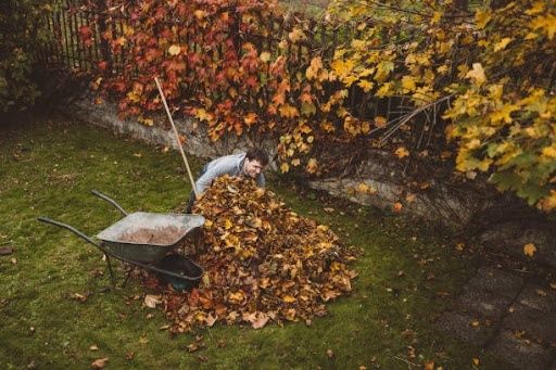 Fall and Spring Clean Up