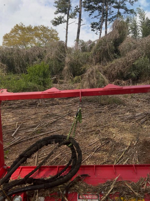 Land Clearing Photos