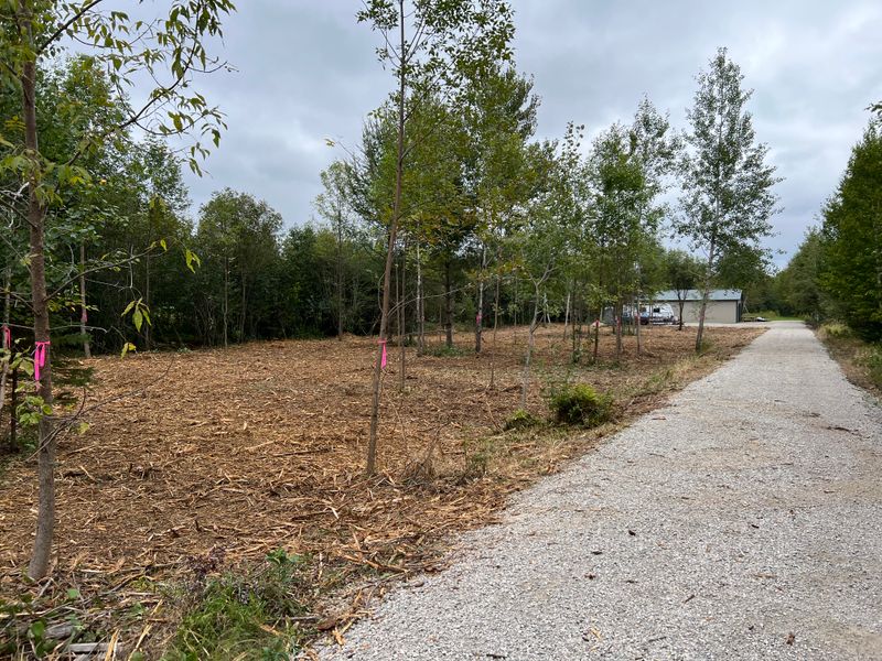 Driveway Construction