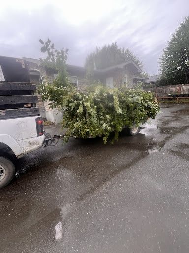 Yard Waste Removal