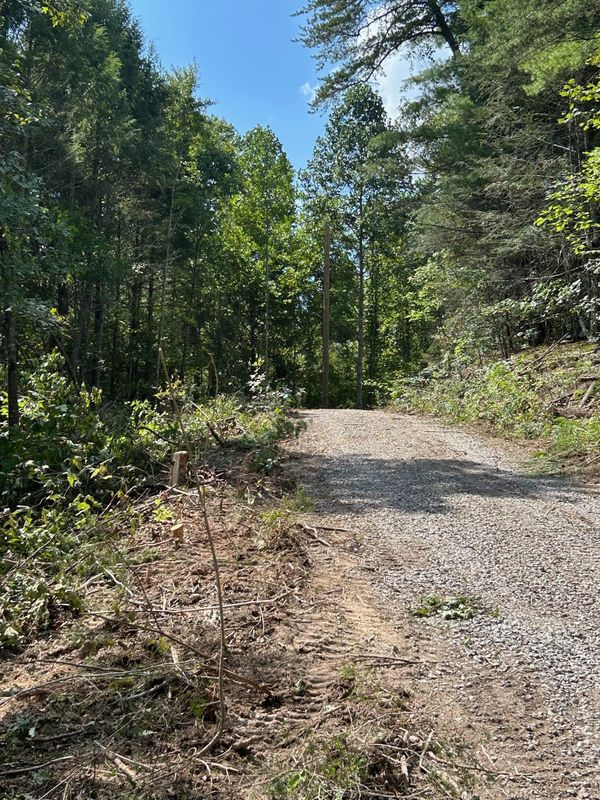 Land Clearing