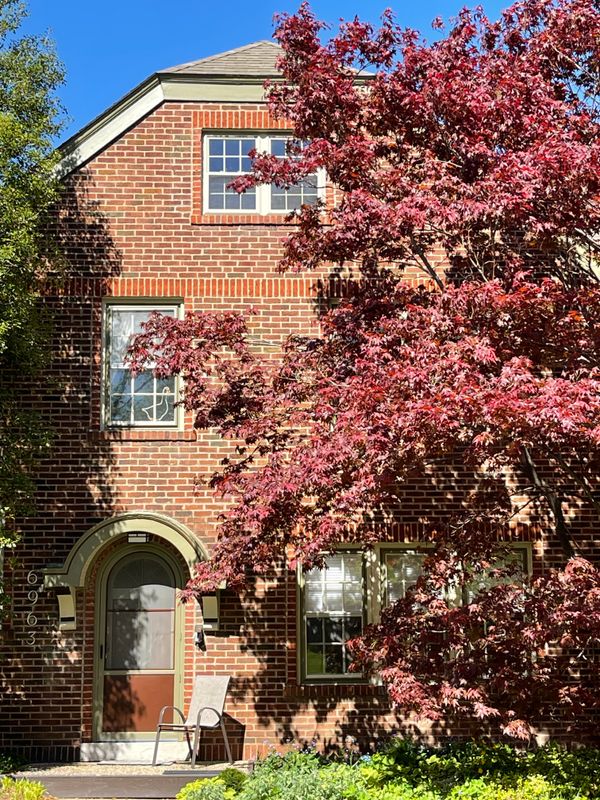Revitalize Your View: Expert Gutter and Window Cleaning in University City by See2it Clean