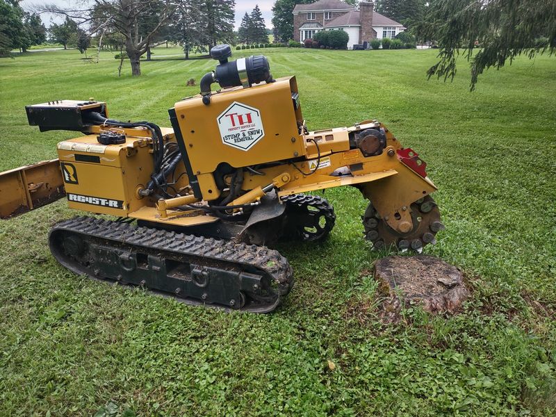 Stump Grinding