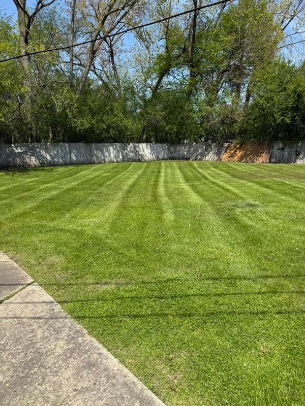 Lawn Maintenance