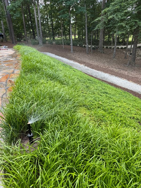 Irrigation
