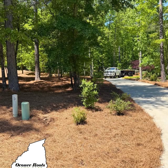 Landscape Design & Installation