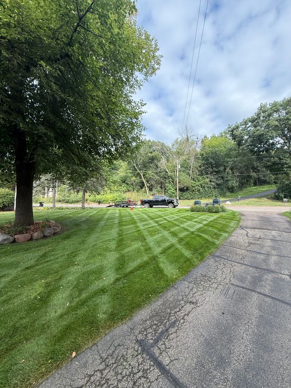 Lawn Maintenance