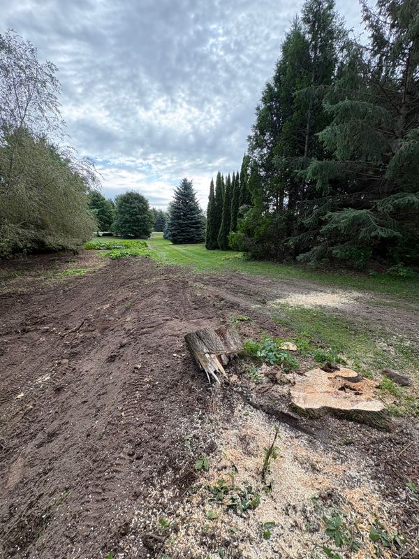 Land Clearing
