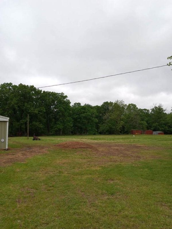 Lawn Maintenance