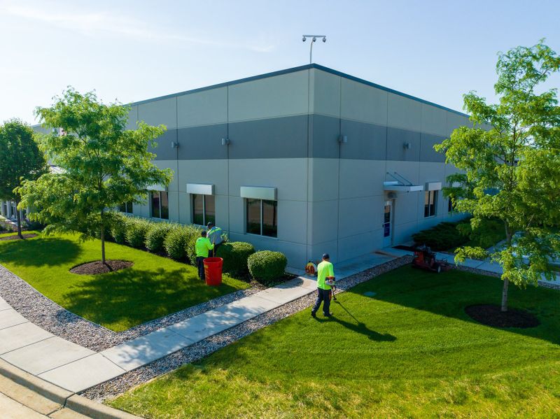 Yard Clean Ups & Seasonal Services