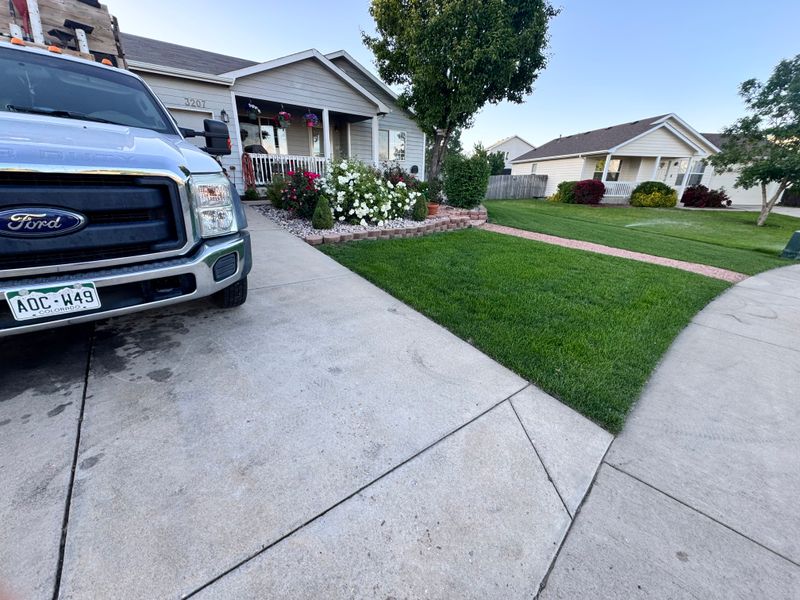 Landscape Design