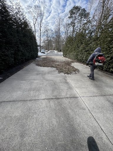 Fall and Spring Clean Up