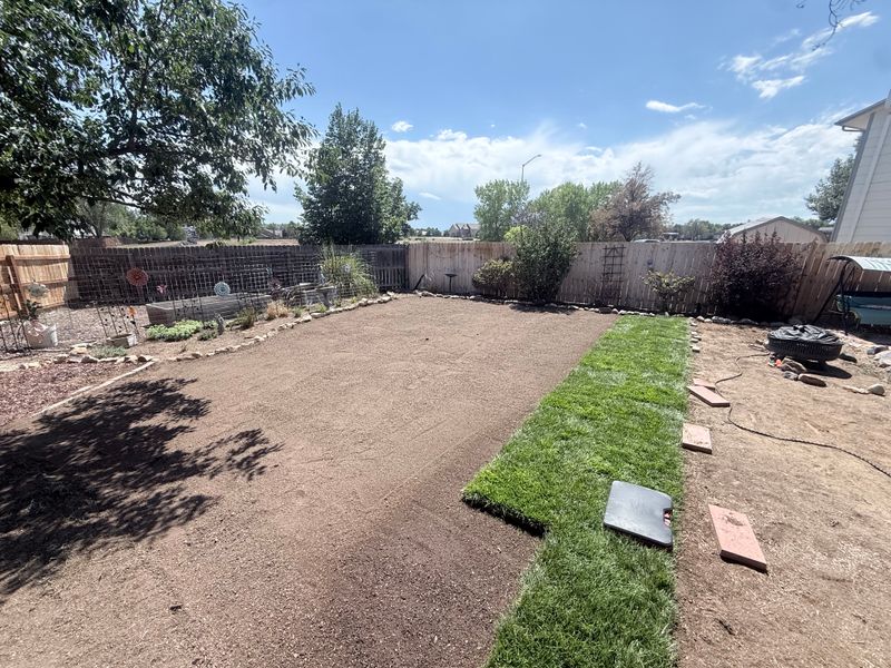 Lawn Maintenance