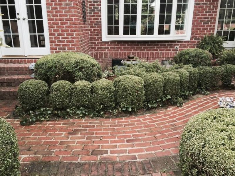 Hardscape Installation