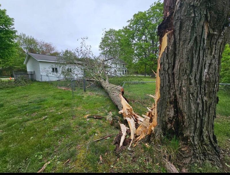 Storm Damage Mitigation
