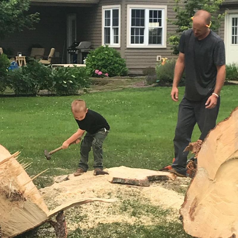 Tree Removal gallery