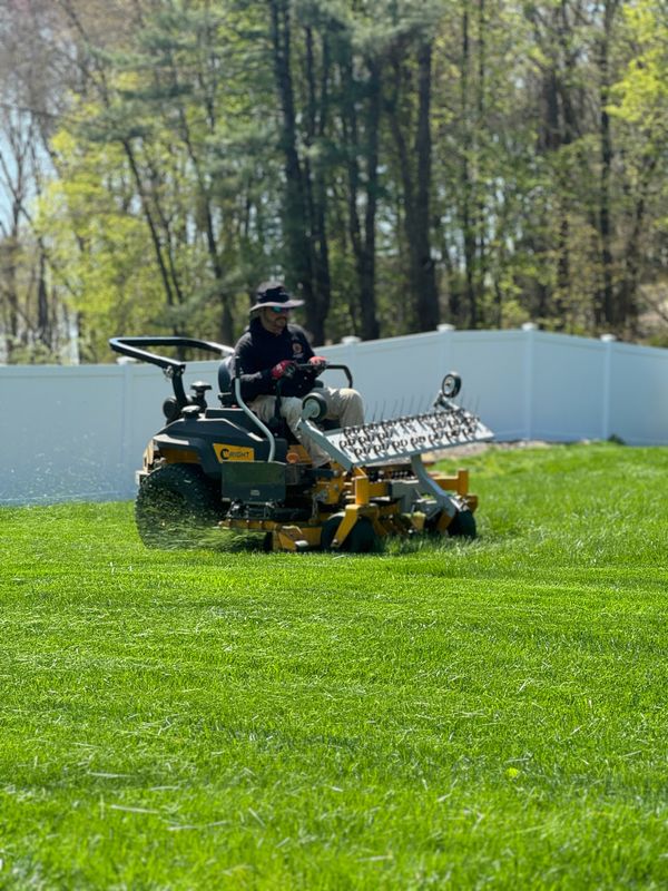 Lawn & Turf Maintenance 