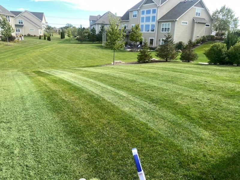 Lawn Aeration
