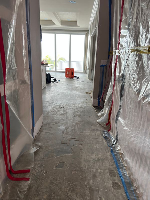 Mold Remediation