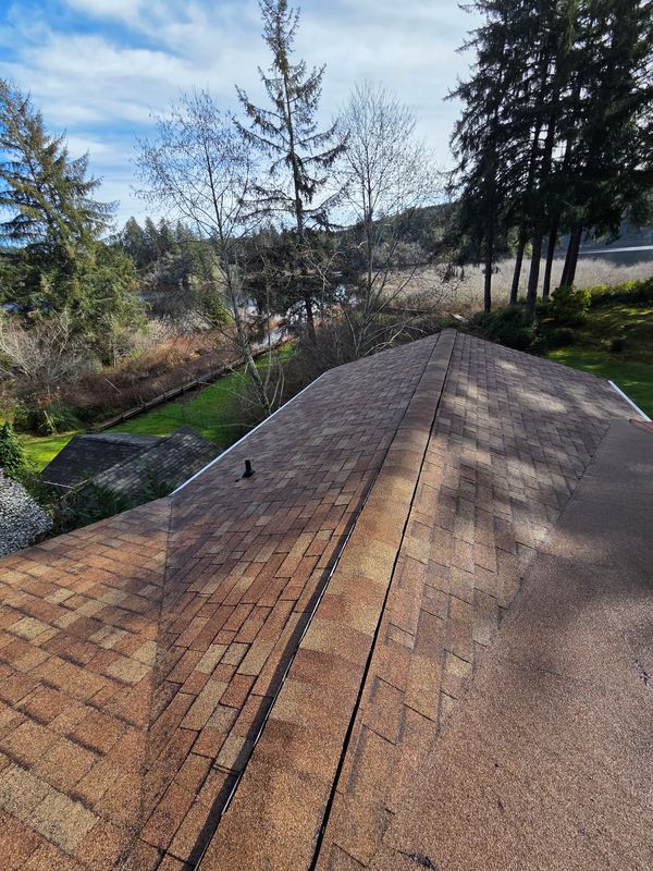 Roofing Repairs