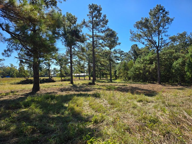 Land Clearing