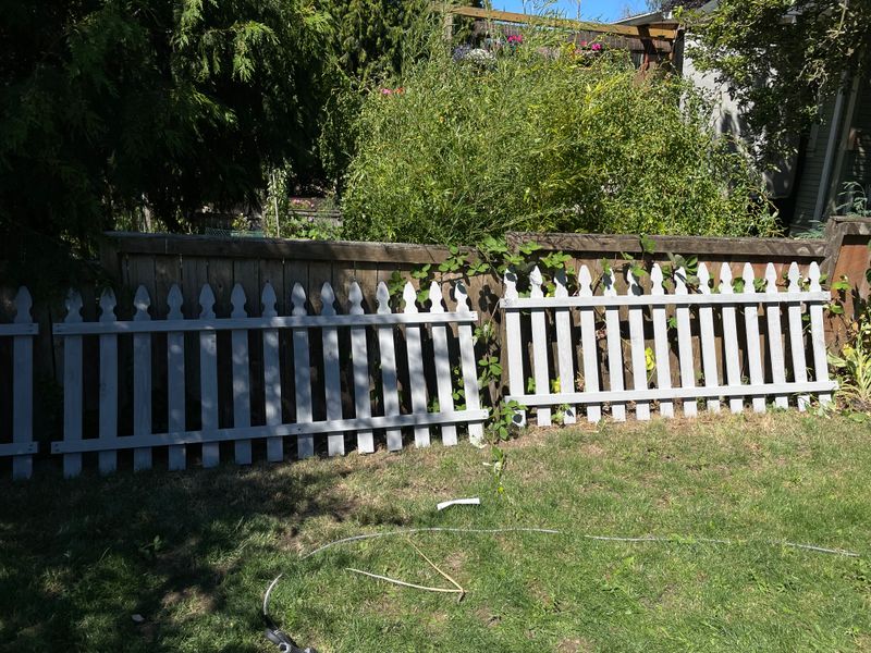Deck Staining