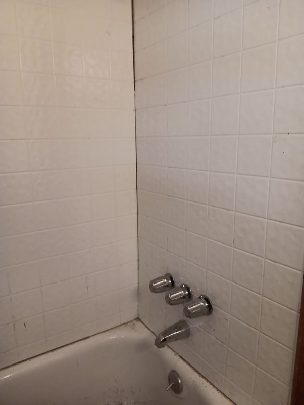 Remodeling Services