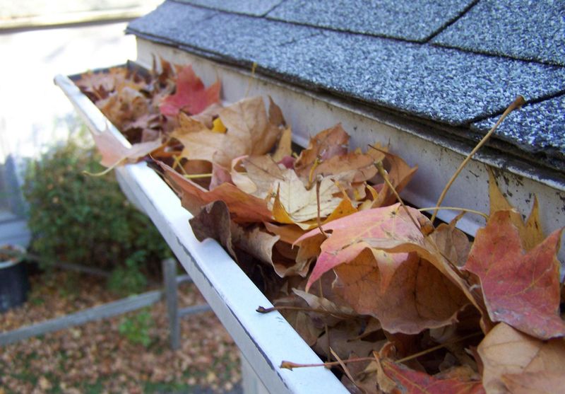 Gutter Cleaning
