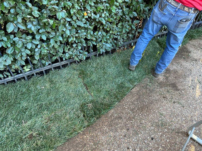 Landscaping