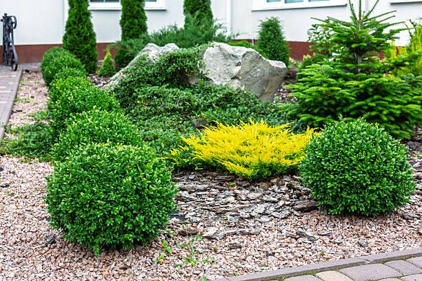 Hedge Trimming