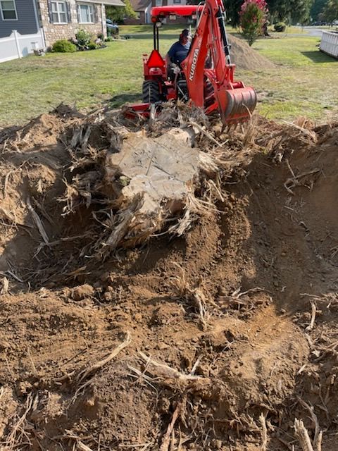 Stump Removal