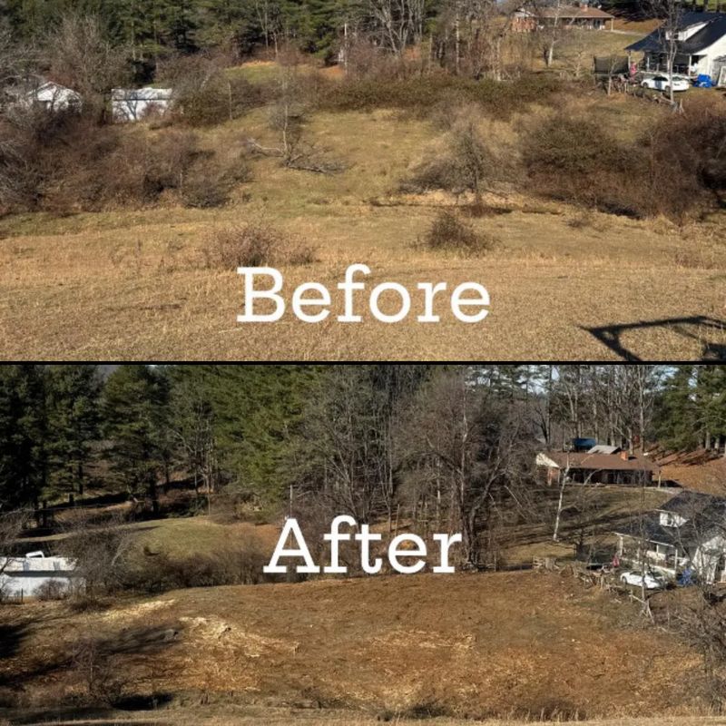Reclaim Land