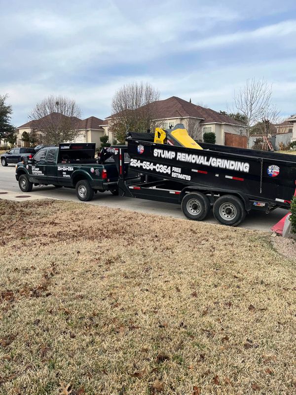 Stump Grinding gallery