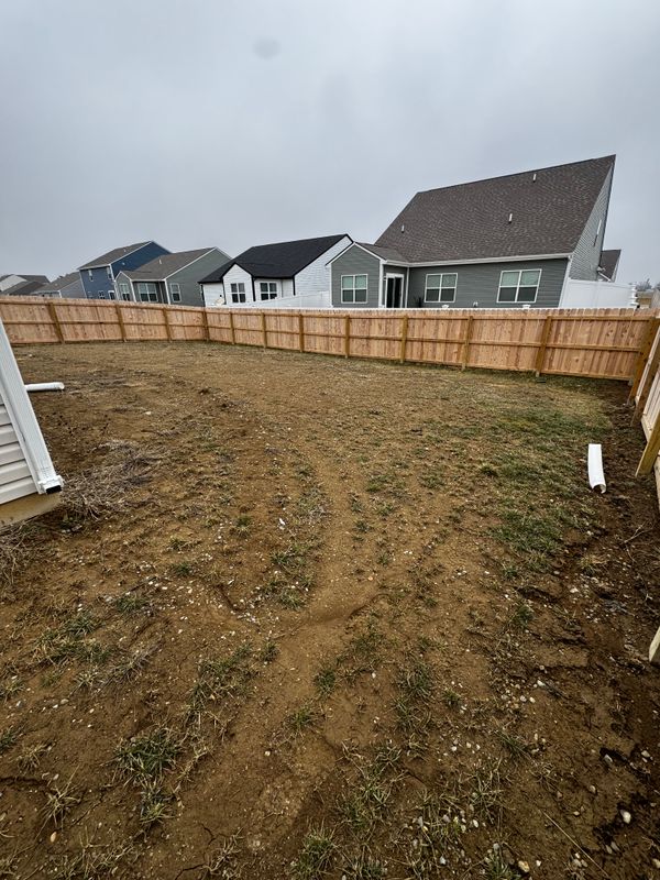 Lawn Seeding & Over-seeding