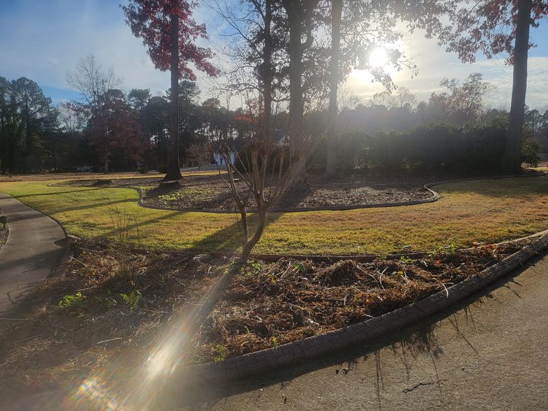 Lawn Care