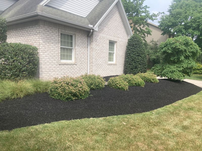 Landscape Design
