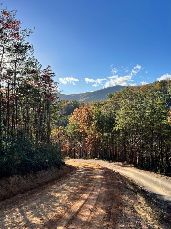 Land Clearing