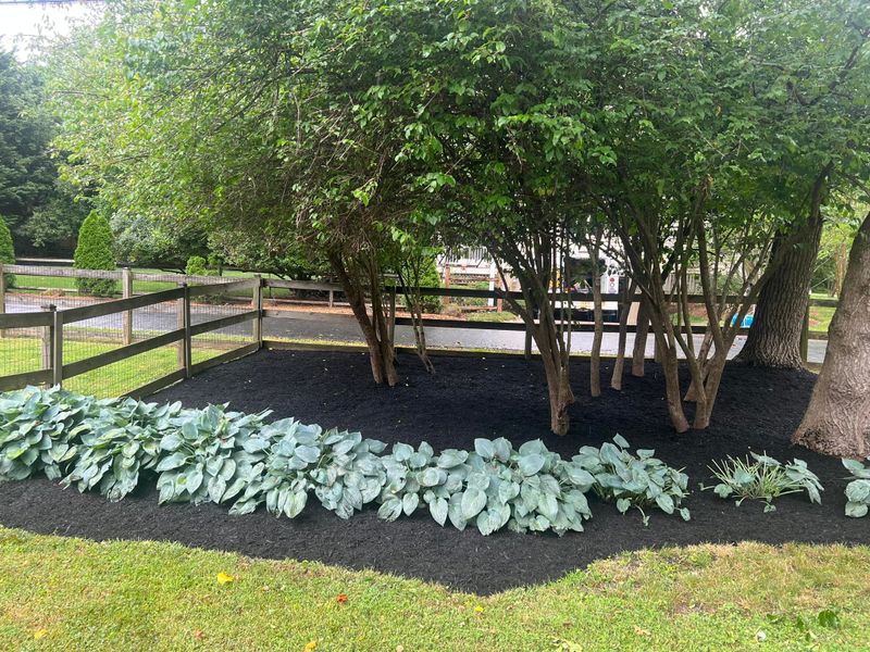 Mulch Installation