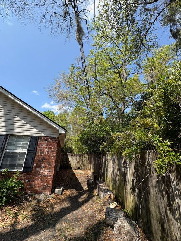 Shrub Trimming